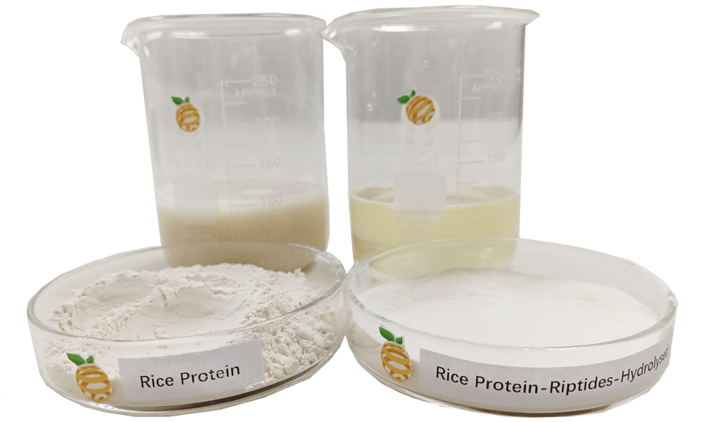 rice protein comparison