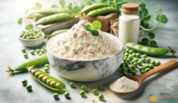 Pea Protein Benefits: Good or Bad for Health?Discover the health benefits of pea protein: nutritional, sustainable, ideal for muscle growth, weight management, and heart health.