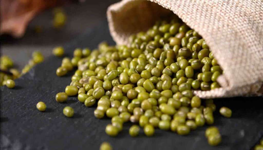 Processing Impacts on Mung Bean Protein Characteristics.Discover the weight management benefits of green bean protein. Mitigate high-fat diet effects naturally. Boost metabolism and curb fat accumulation.