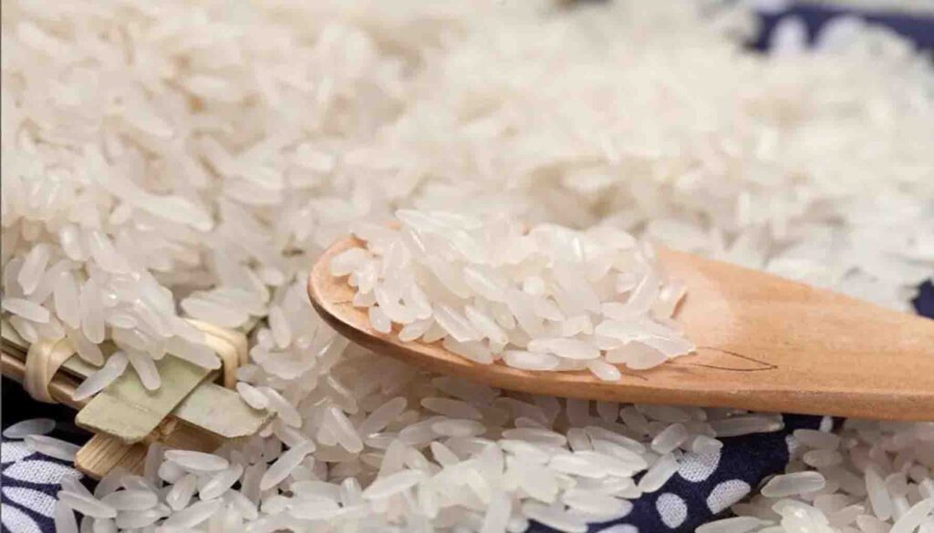 Decoding Rice Protein.Unlock the nutritional secrets of rice protein – a high-quality, allergen-friendly option with anti-hypertensive and cholesterol-lowering properties. Discover more!