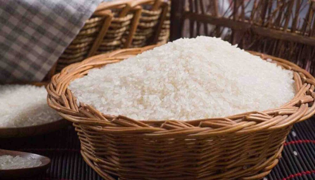 Methods for Extracting Rice Peptides through Hydrolysis of Rice Protein.Discover premium rice peptides through enzymatic hydrolysis, enhancing nutrition in infant food. Soluble, safe, and high digestibility for development.