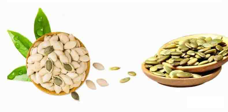 Health Benefits of Pumpkin Seeds.Elevate health with pumpkin seed benefits! Boost immunity, improve memory, and support heart health. Discover the power of nature's nutrition.