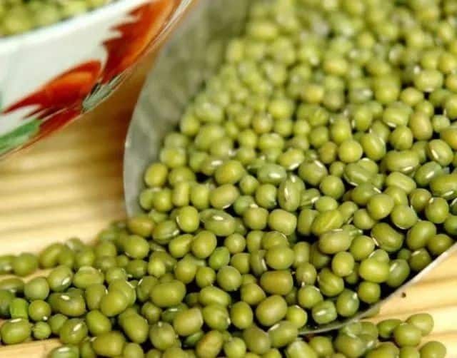 Bean Proteins: Nature's Nutritional Powerhouses.Discover the health benefits of soybeans, black beans, mung beans & more! Best plant-based proteins for a nutritious lifestyle.