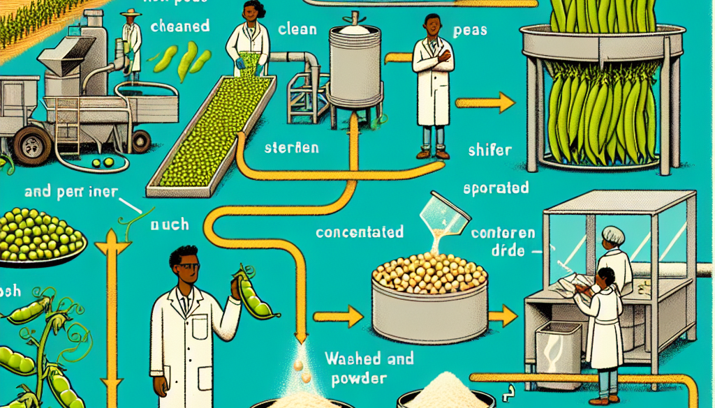 How Pea Protein is Made: An Insight