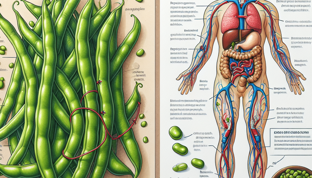 Green Beans and Glycemic Control for Diabetics