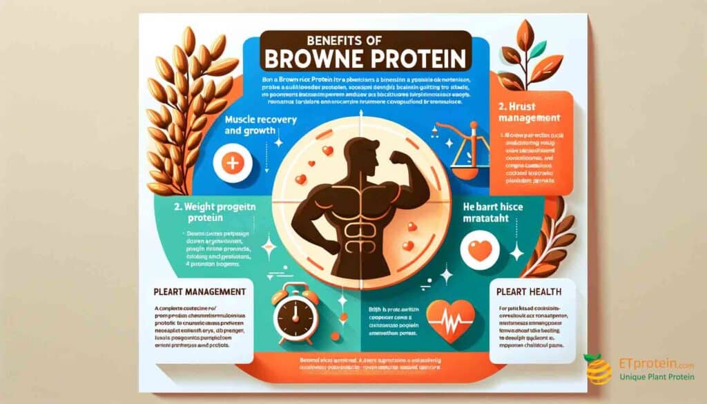 1/2 Cup Brown Rice Protein: Your Health Guide.Discover the benefits of 1/2 cup brown rice protein for muscle growth, weight management, and heart health with ETprotein.