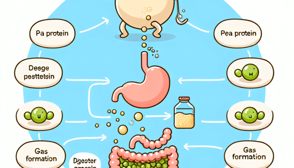 Why does pea protein make me gassy?