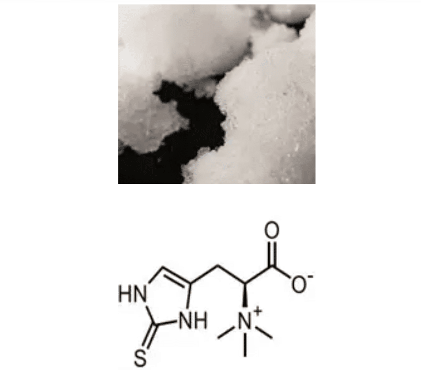 Synthetic biology effectively improves ergothioneine production.Explore how synthetic biology enhances ergothioneine production, optimizing industrial applications in health and cosmetics through advanced fermentation and genetic engineering.