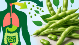 Do Green Beans Detox Your Body?