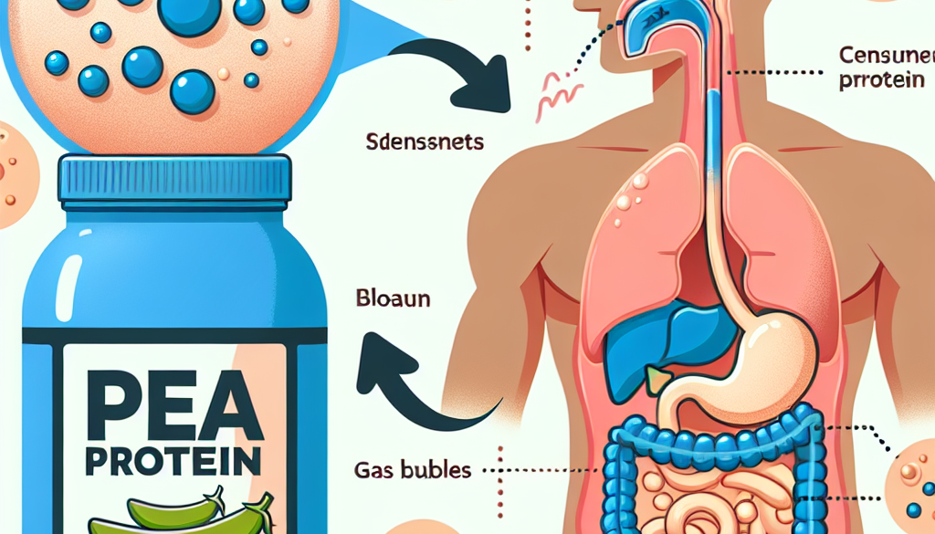 Does pea protein cause gas and bloating?