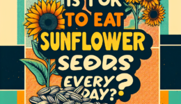 Is It Ok To Eat Sunflower Seeds Everyday?