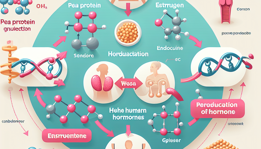 Does Pea Protein Promote Estrogen?