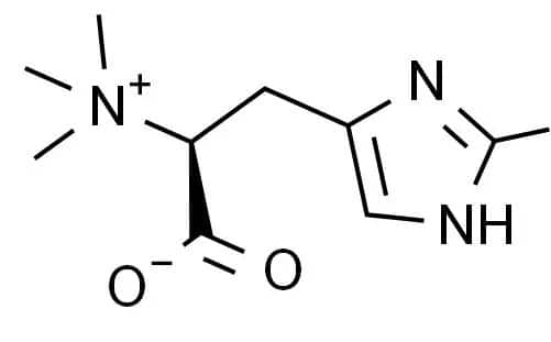 Ingredient Insight: The Most Detailed Analysis of Ergothioneine Ever.Explore the detailed analysis of ergothioneine, a powerful antioxidant known for its skin protective, anti-aging, and inflammation-resistant properties.