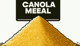 What Is Canola Meal?