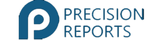 precision report icon