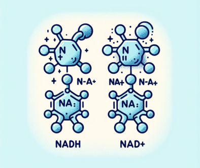 Does NADH Have More Energy Than NAD+?